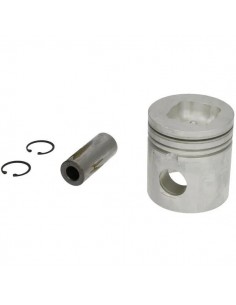 Piston 100 mm STD U5LL0021