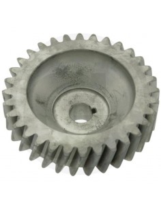 Pinion Pompa Fendt 385940100020