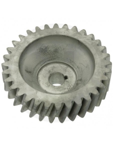 Pinion Pompa Fendt 385940100020