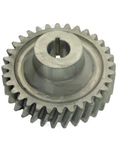 Pinion Pompa Fendt 385940100020 2
