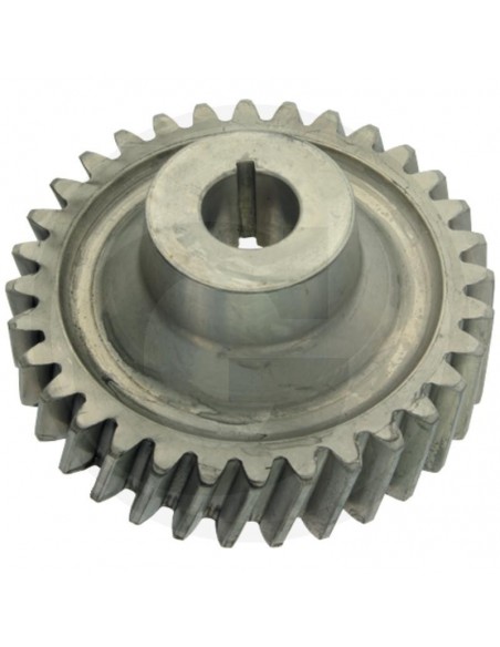 Pinion Pompa Fendt 385940100020